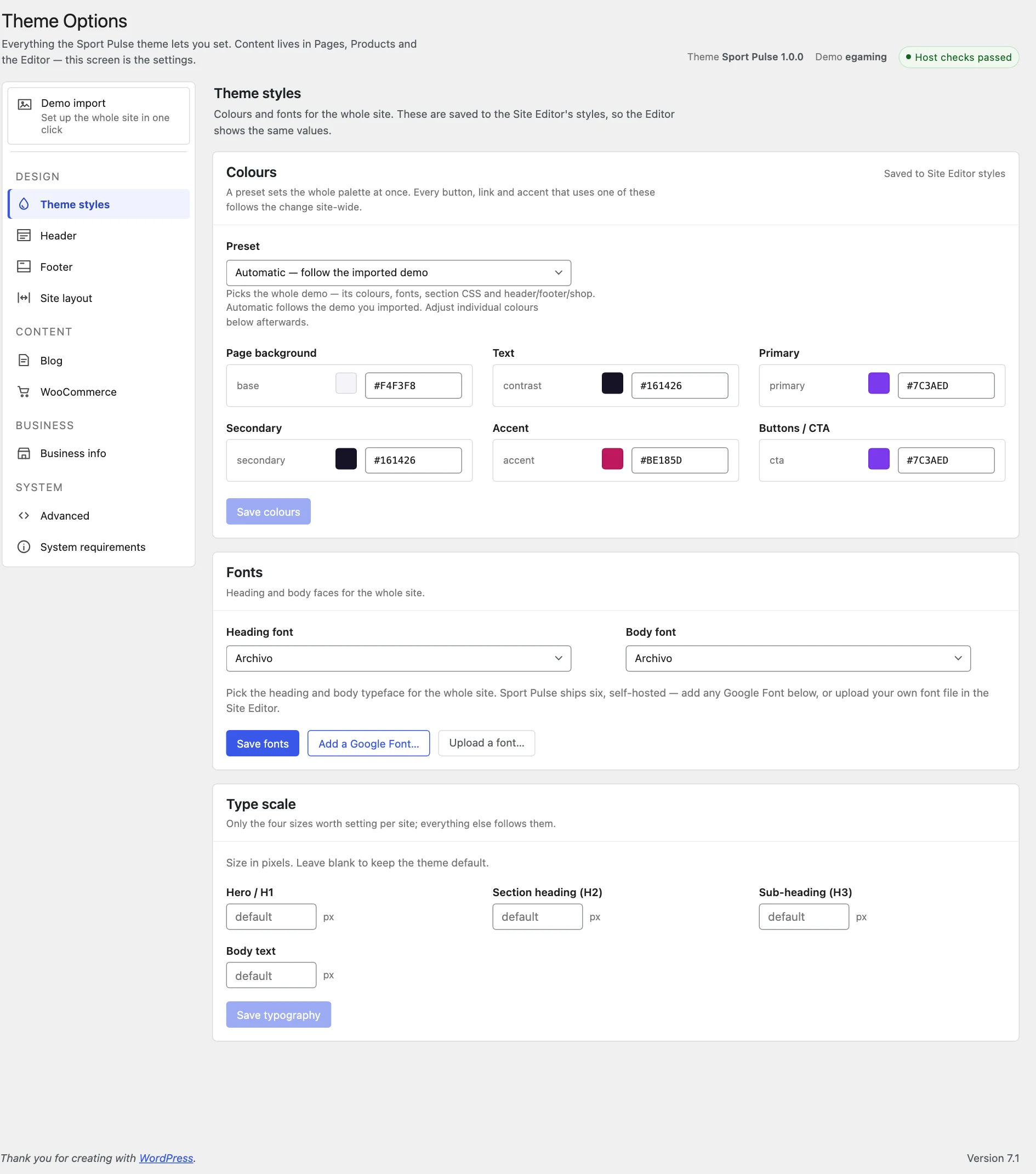 The Theme styles tab, with the preset picker above the six brand colours.